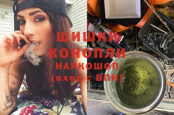 ПСИЛОЦИБИНОВЫЕ ГРИБЫ Лиски