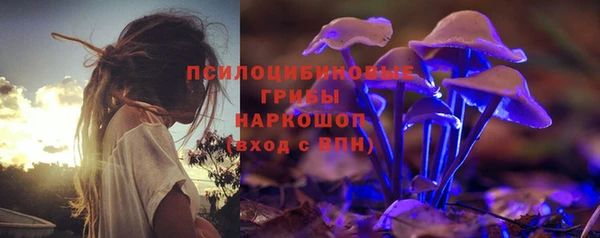 ПСИЛОЦИБИНОВЫЕ ГРИБЫ Лиски