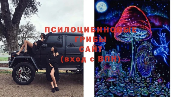 ПСИЛОЦИБИНОВЫЕ ГРИБЫ Лиски