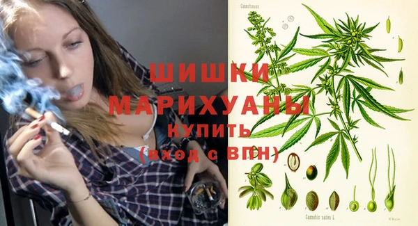 молекула духа Лихославль