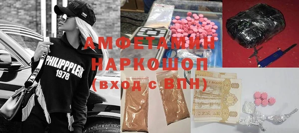 индика Волосово