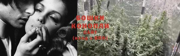 ПСИЛОЦИБИНОВЫЕ ГРИБЫ Лиски