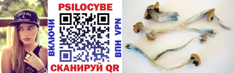 Галлюциногенные грибы Magic Shrooms Дюртюли
