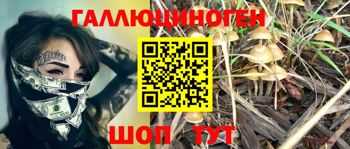Псилоцибиновые грибы MAGIC MUSHROOMS Дюртюли