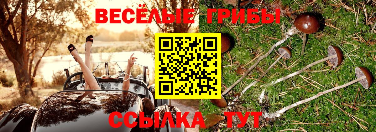 Псилоцибиновые грибы мицелий  Вход с VPN  Псилоцибиновые грибы Psilocybe  Дюртюли 